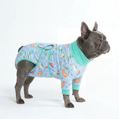Dog Surgical Suit - Dragons