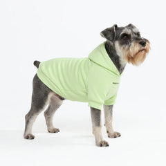 Essential Dog Hoodie - Honey Dew