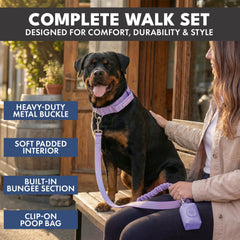 Comfort Control Collar and Multipurpose Leash Set - Lilac