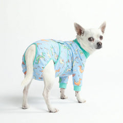 Dog Surgical Suit - Dragons