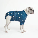 Dog Surgical Suit - Stars