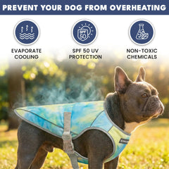 Dog Cooling Vest (2-pack) - Snow Cone & Tropical Storm