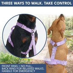 Comfort Control No-Pull Dog Harness and Multipurpose Leash Set - Purple