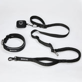 Martingale Collar and Multipurpose Leash Set - Black