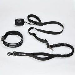 Martingale Collar and Multipurpose Leash Set - Black