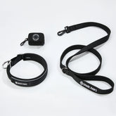 Martingale Collar Set - Black