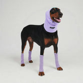 Leg Warmer and Earmuff Protector Set - Purple