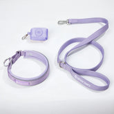 Martingale Collar Set - Lilac
