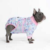 Dog Surgical Suit - Butterfly