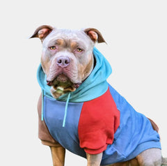 Alpine Human Hoodie