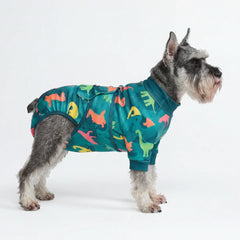 Dog Surgical Suit - Dinosaurs