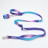 Multipurpose Seatbelt Handsfree Leash & Poop Bag Holder Set - 90s Retro