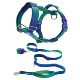 Comfort Control No-Pull Dog Harness and Multipurpose Leash Set - Lime Wave
