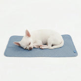 Frostcore™ Cooling Mat - Ash Blue