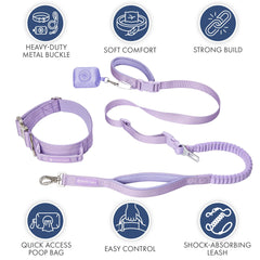Comfort Control Collar and Multipurpose Leash Set - Lilac