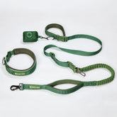 Martingale Collar and Multipurpose Leash Set - Army Green