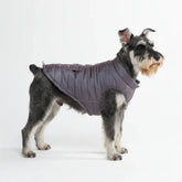 WarmShield Water-Resistant Jacket - Gunmetal Grey