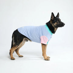 Sunblock Dog T-Shirt - Sorbet