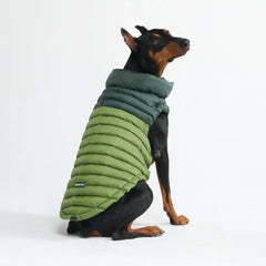 PuffShield Winter Jacket - Green