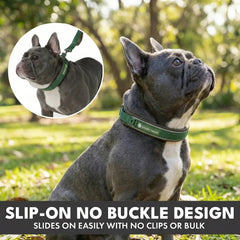 Martingale Collar and Multipurpose Leash Set - Army Green