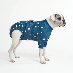 Dog Surgical Suit - Stars