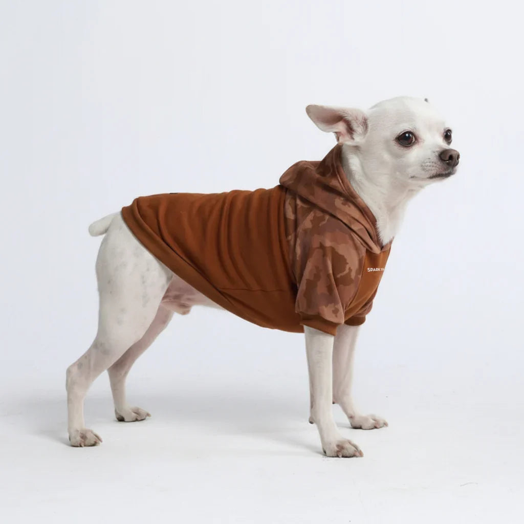Desert Camo Dog Hoodie