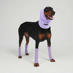Leg Warmer and Earmuff Protector Set - Purple