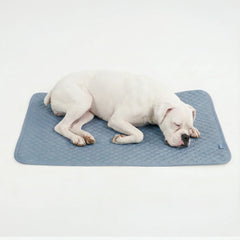Frostcore™ Cooling Mat - Ash Blue