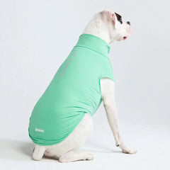 Sunblock Dog T-Shirt - Mint