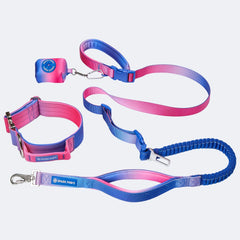 Comfort Control Collar and Multipurpose Leash Set - Snow Cone