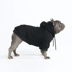Essential Dog Hoodie - Black