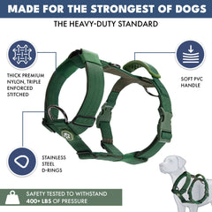 Comfort Control No-Pull Dog Harness - Green