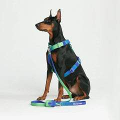 Leash and Poop Bag Holder Set - Lime Wave