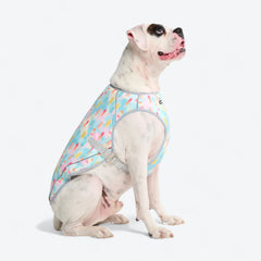 Dog Cooling Vest - Popsicles