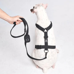 Leash and Poop Bag Holder Set - Black